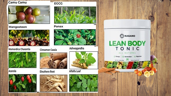 Nagano Lean Body Tonic Ingredients